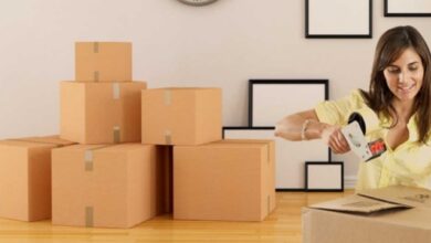 Best Packers and Movers in Noida