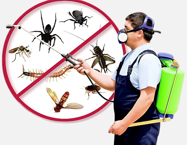 Best Pest Control Services in Jaipur