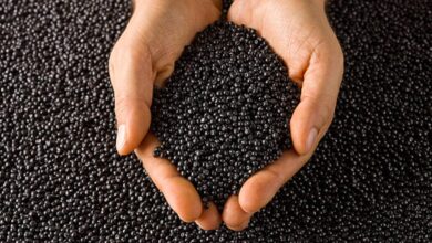 Black Masterbatch Manufacturers In Gujarat