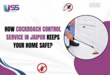Best Pest Control for Cockroaches in Jaipur