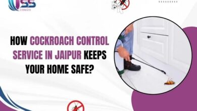 Best Pest Control for Cockroaches in Jaipur