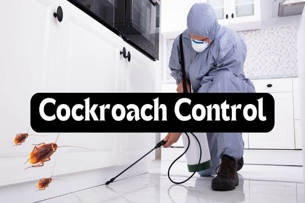 Best Pest Control for Cockroaches in Jaipur