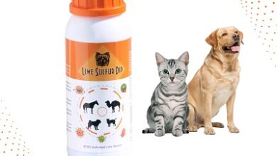 Sulfur Lime Dip for Cats