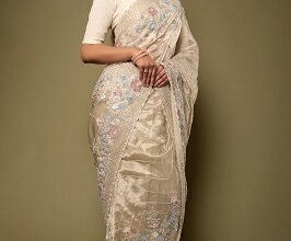 Tissue Silk Saree