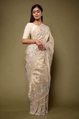 Tissue Silk Saree