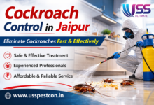 Cockroach Control in Jaipur