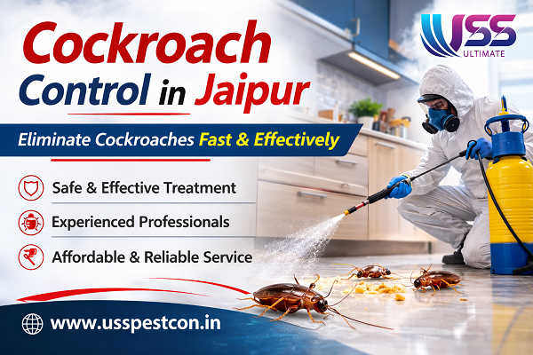 Cockroach Control in Jaipur