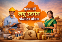 Mukhyamantri Laghu Udhyog Protsahan Yojana
