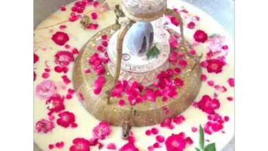 Rudrabhishek Puja in Ujjain