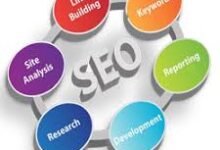 Seo Services in Moradabad