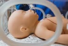 Pediatric Patient Simulator