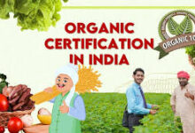 Organic Certification in India