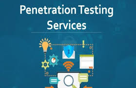 Penetration Testing Services India