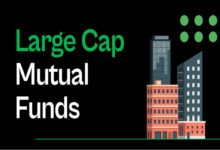 Best Large Cap Mutual Funds​