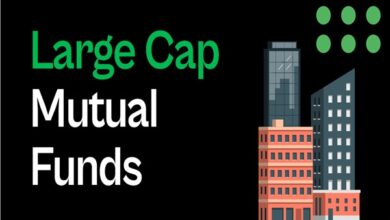Best Large Cap Mutual Funds​