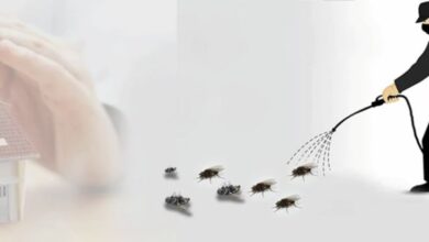 Best Pest Control for Cockroaches in Jaipur