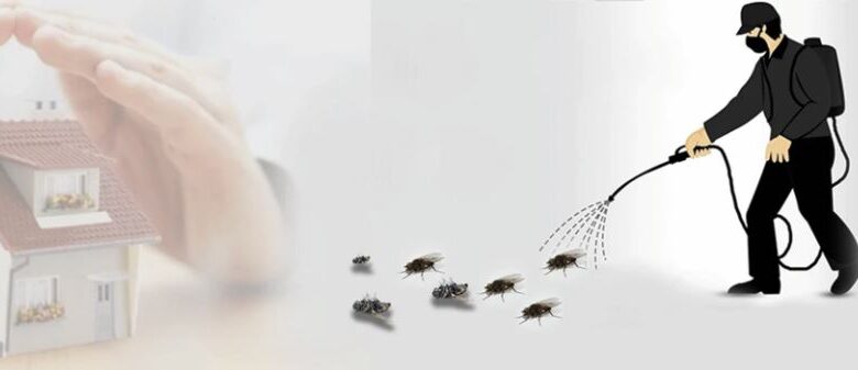 Best Pest Control for Cockroaches in Jaipur