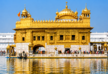 Edmonton to Amritsar