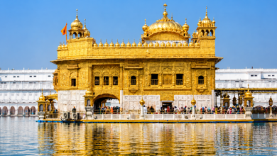 Edmonton to Amritsar