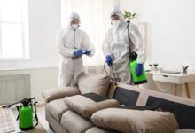Jaipur Mosquito Control Services