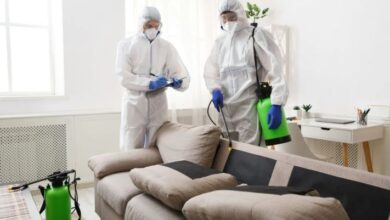 Jaipur Mosquito Control Services