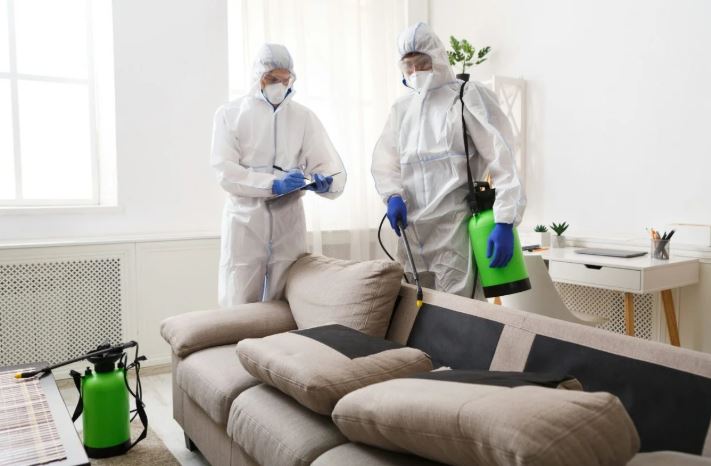 Jaipur Mosquito Control Services