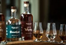 420 Wine Beer and Spirit Tours