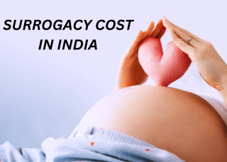 Surrogacy in India
