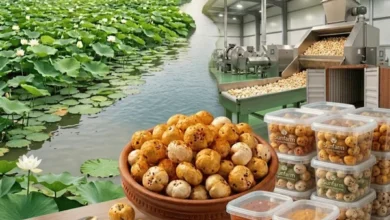 Makhana Contract Manufacturing