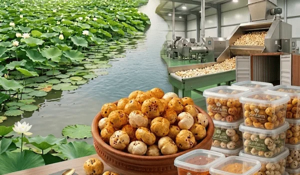 Makhana Contract Manufacturing