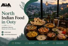 North Indian Food in Ooty