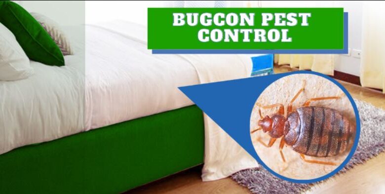 Bedbugs Pest Control in Jaipur