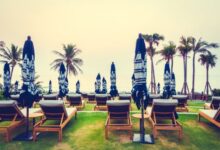 Hotel for rent in rajasthan