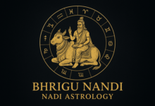 Bhrigu Nandi Nadi Astrology