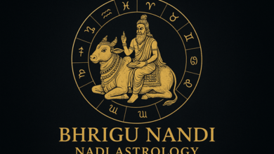 Bhrigu Nandi Nadi Astrology