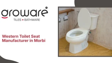 Western Toilet Seat Manufacturer in Morbi
