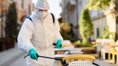 Bedbugs Pest Control in Jaipur