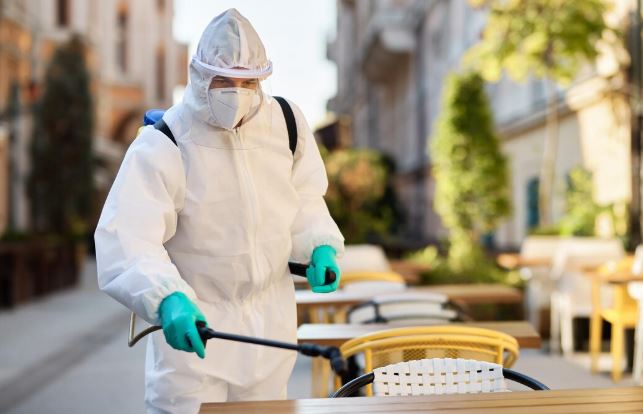 Bedbugs Pest Control in Jaipur