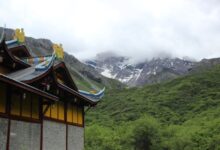 Bhutan DMC