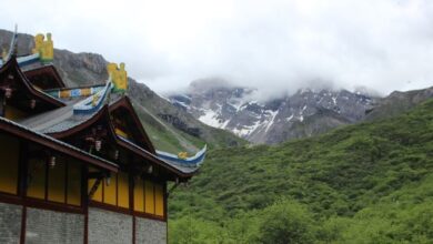 Bhutan DMC