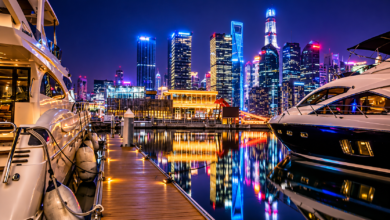 Luxury Dubai Marina Tour