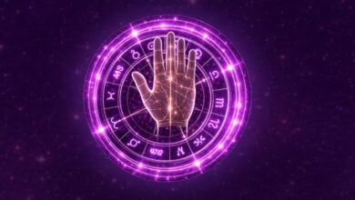 Palm Reader Online